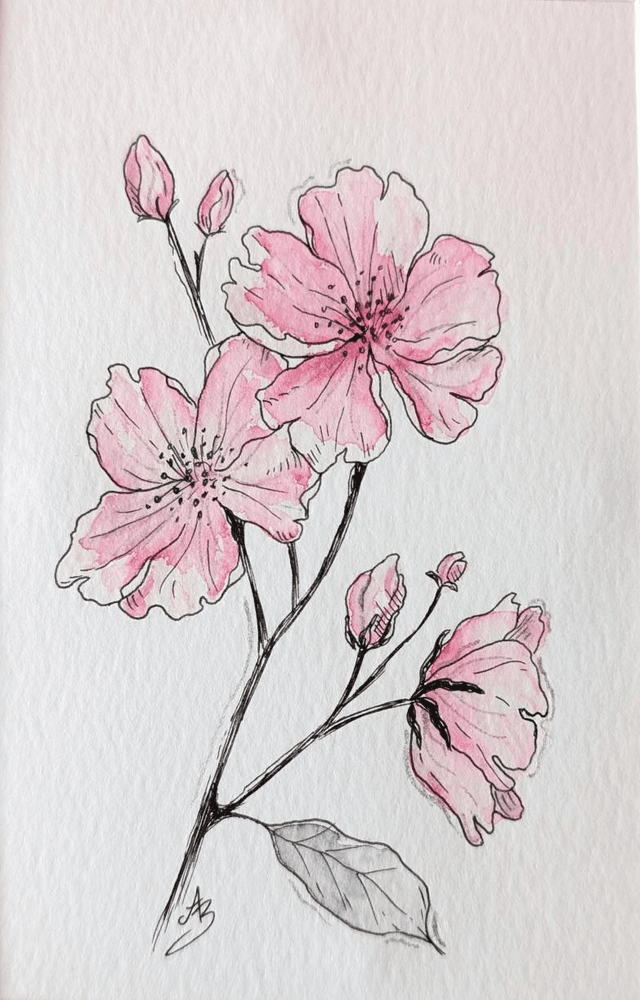 Fleurs de cerisier roses • Aquarelle originale encadrée