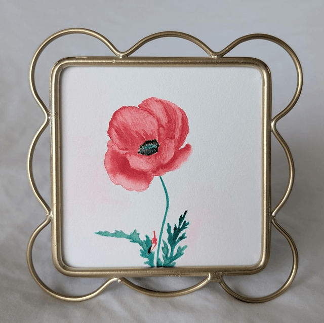 Coquelicot • Aquarelle originale encadrée