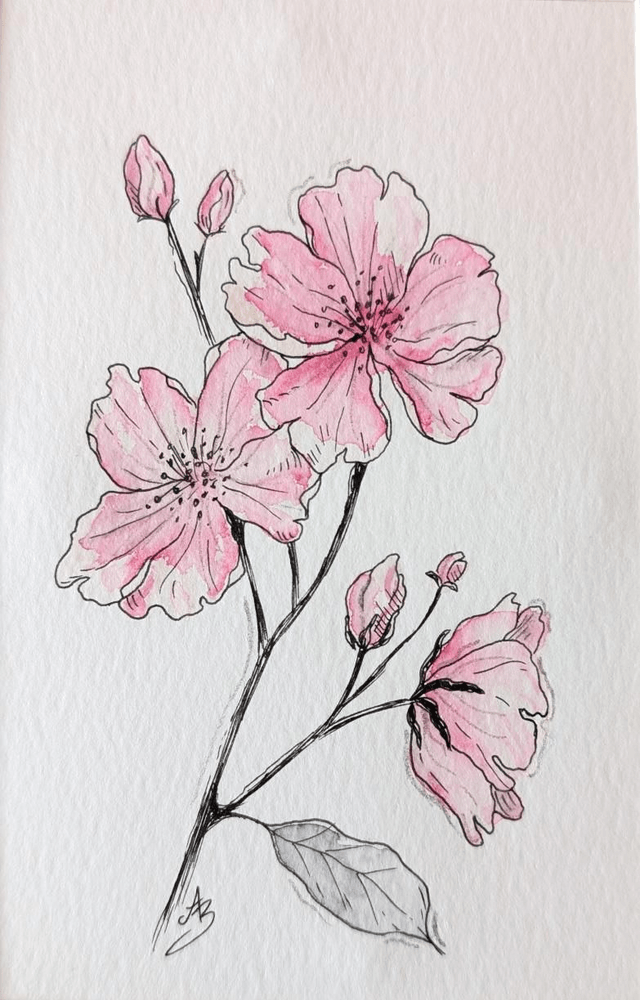 Fleurs de cerisier roses • Aquarelle originale encadrée